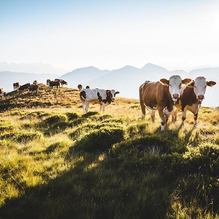 Fruehstueckspension Samerhof Westendorf Dış mekan fotoğraf