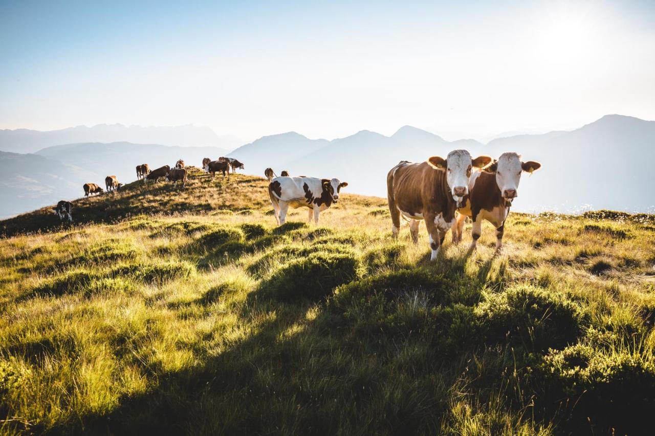 Fruehstueckspension Samerhof Westendorf Dış mekan fotoğraf